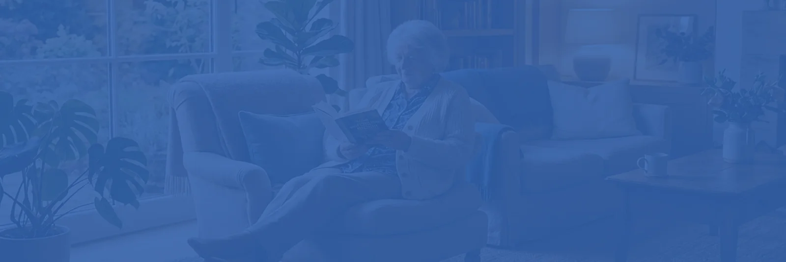 Blue background behind the daily care timeline