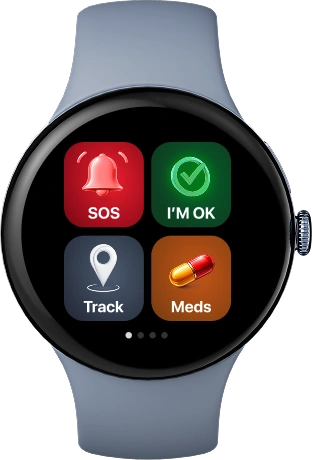 Google Watch integration